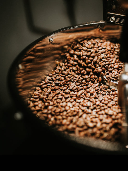 Brazilian Santos #16-18 - 1 lb (16 oz)