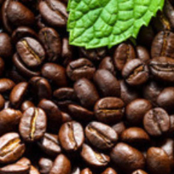 Chocolate Coconut Coffee - 1 lb (16 oz)