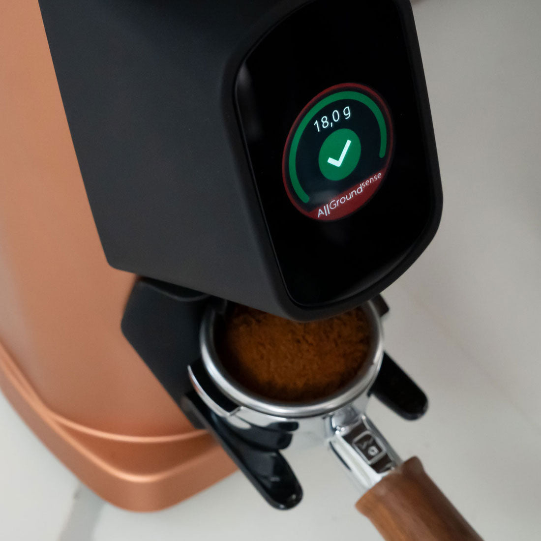 AllGround Sense All Purpose Home Coffee Grinder - Pastel Blue